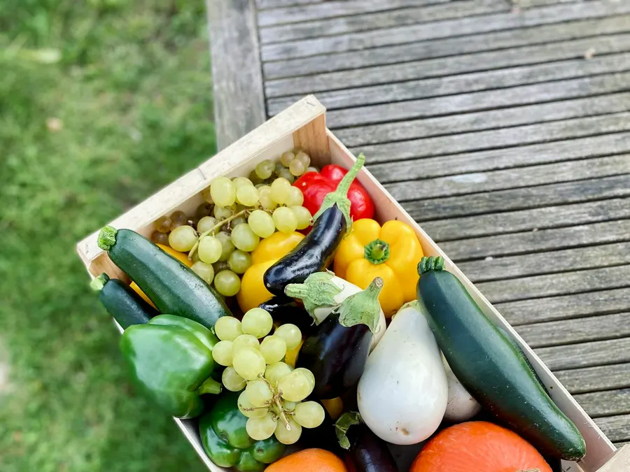 Fresh Stop Family Mixed Box