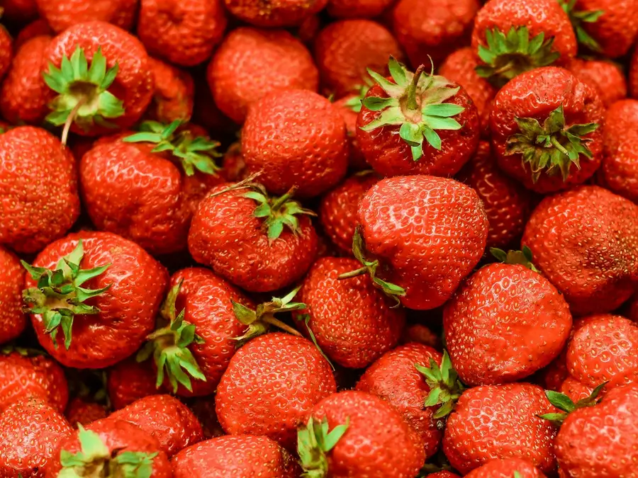 Fresh Strawberries